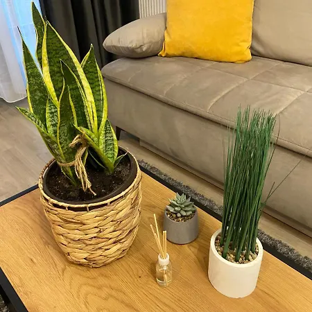 Mirage Sunset 아파트