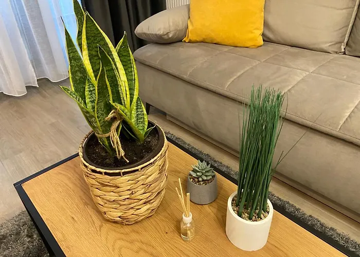 Mirage Sunset 아파트